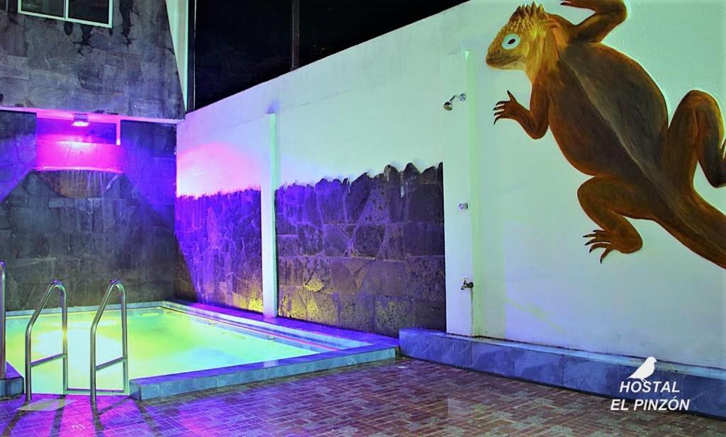 Hostal El Pinzon Puerto Ayora  Buitenkant foto